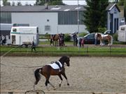 voltitag 2009 _CD2 023